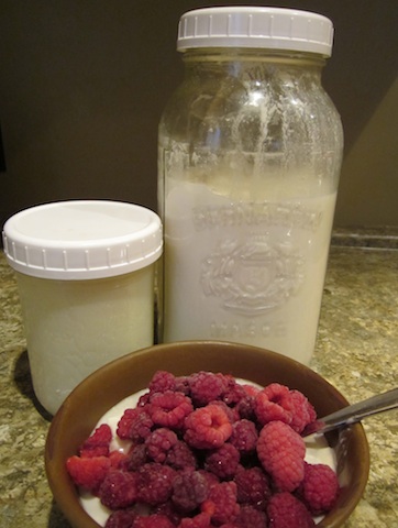 yoghurt-kefir-raspberries