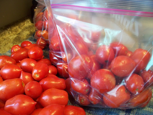 freezing-tomatoes