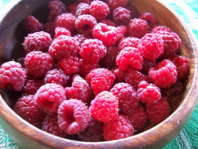 fresh-raspberries