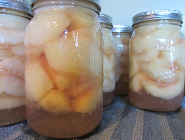 canning-cooled-peaches