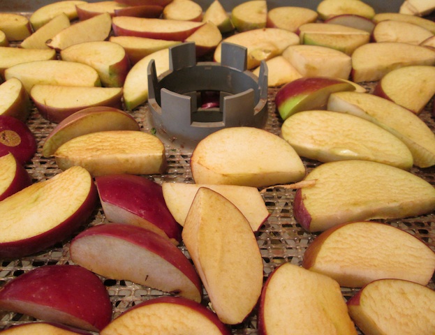 drying-apples