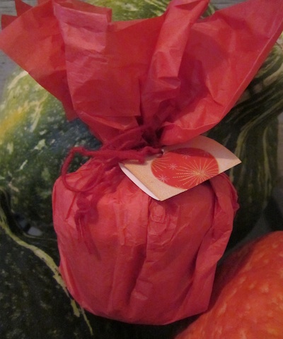 gift-hiding-with-squash