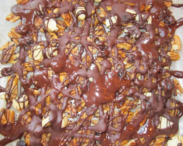 chocolate-pecan-raisins