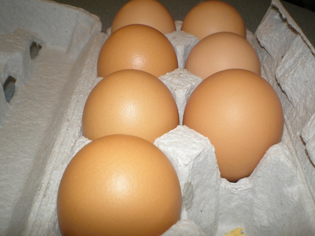 back-yard-eggs